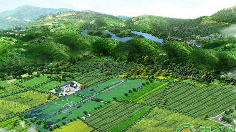 小型水果种植合作社加盟方法