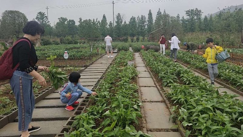 休闲农业研学基地审批流程全解析