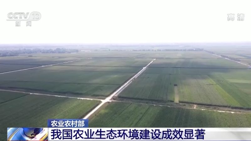 绿色食品认证编号揭秘：如何轻松查证