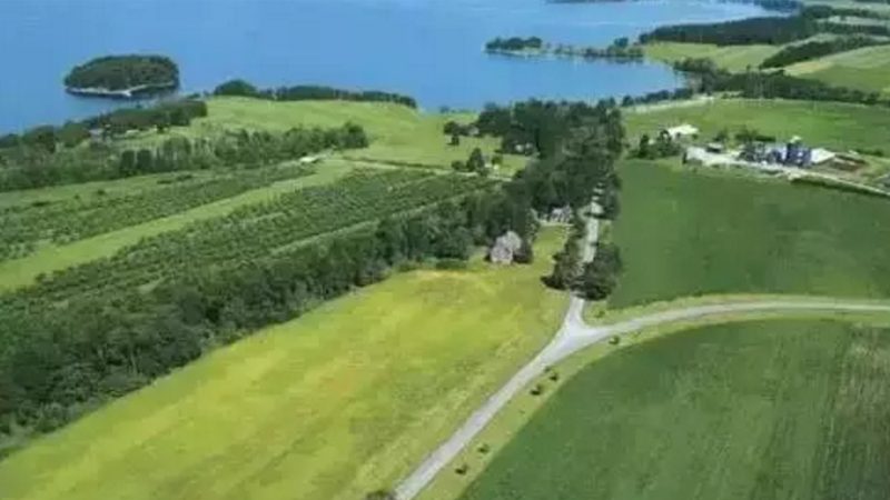 连栋温室建设：如何精准把握每平米成本**