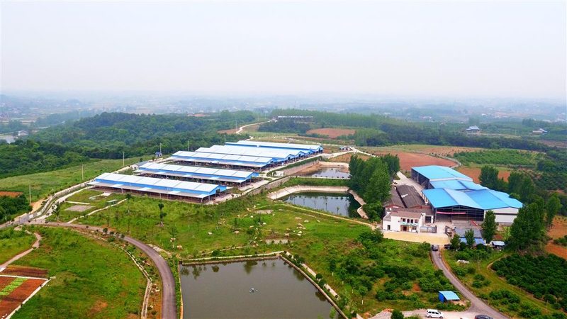 农业产业园建设：常用规格参数解析**