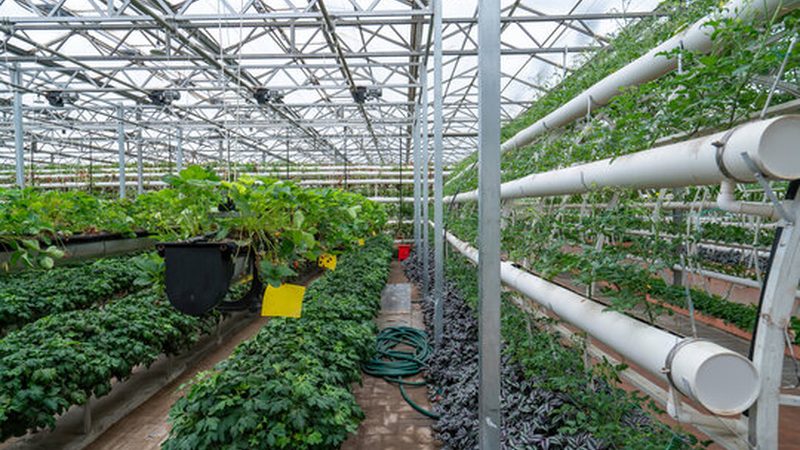 智慧农业种植系统：参数配置的关键要素