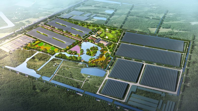 生鲜配送中心建设标准规范：构建高效冷链保障