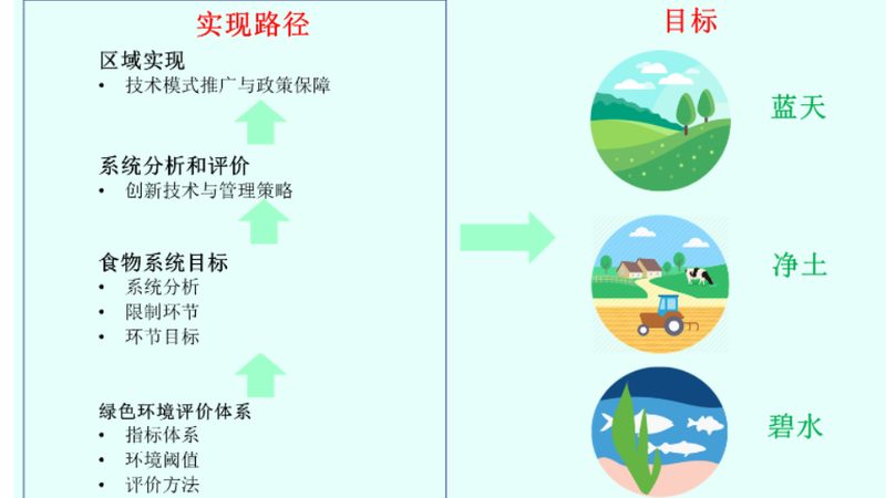生鲜配送加盟：如何规避潜在风险，把握行业机遇