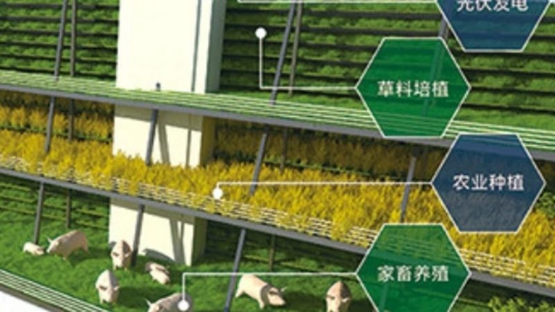 绿色食品认证续展，这些时间要求你必须知道**