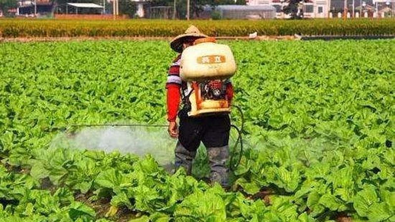 揭秘农资肥料真假辨别：加盟代理的五大关键点
